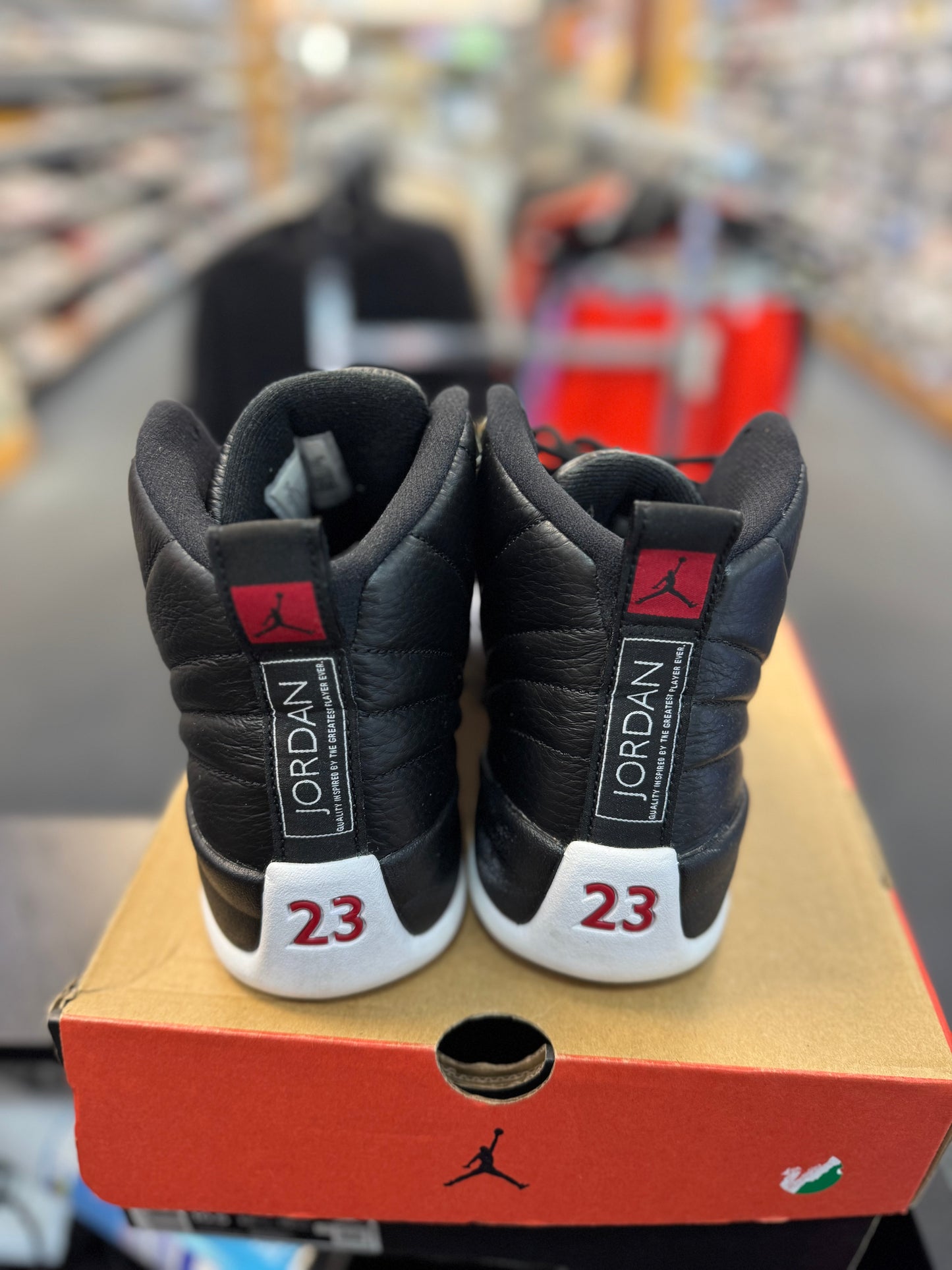 *USED* Jordan 12 Retro Playoffs (2022)
