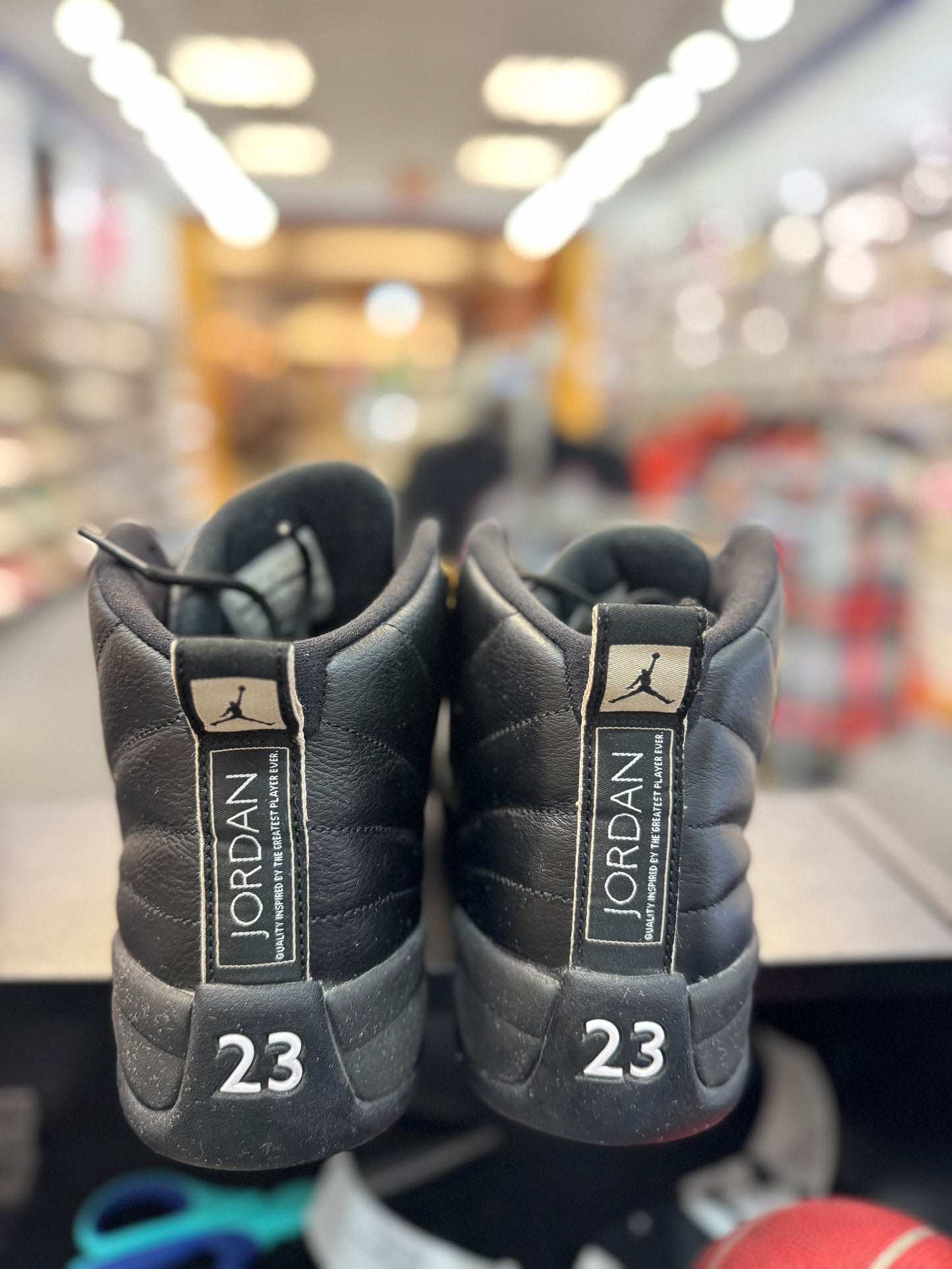 *USED* Jordan 12 Retro The Master