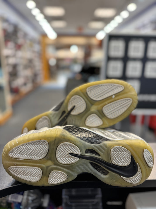 *USED* Nike Air Foamposite Pro Silver Surfer