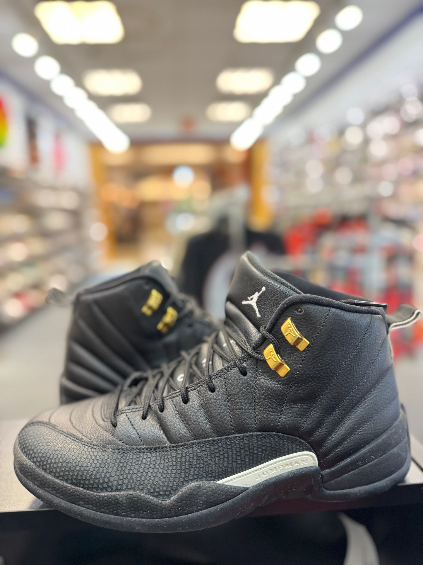 *USED* Jordan 12 Retro The Master