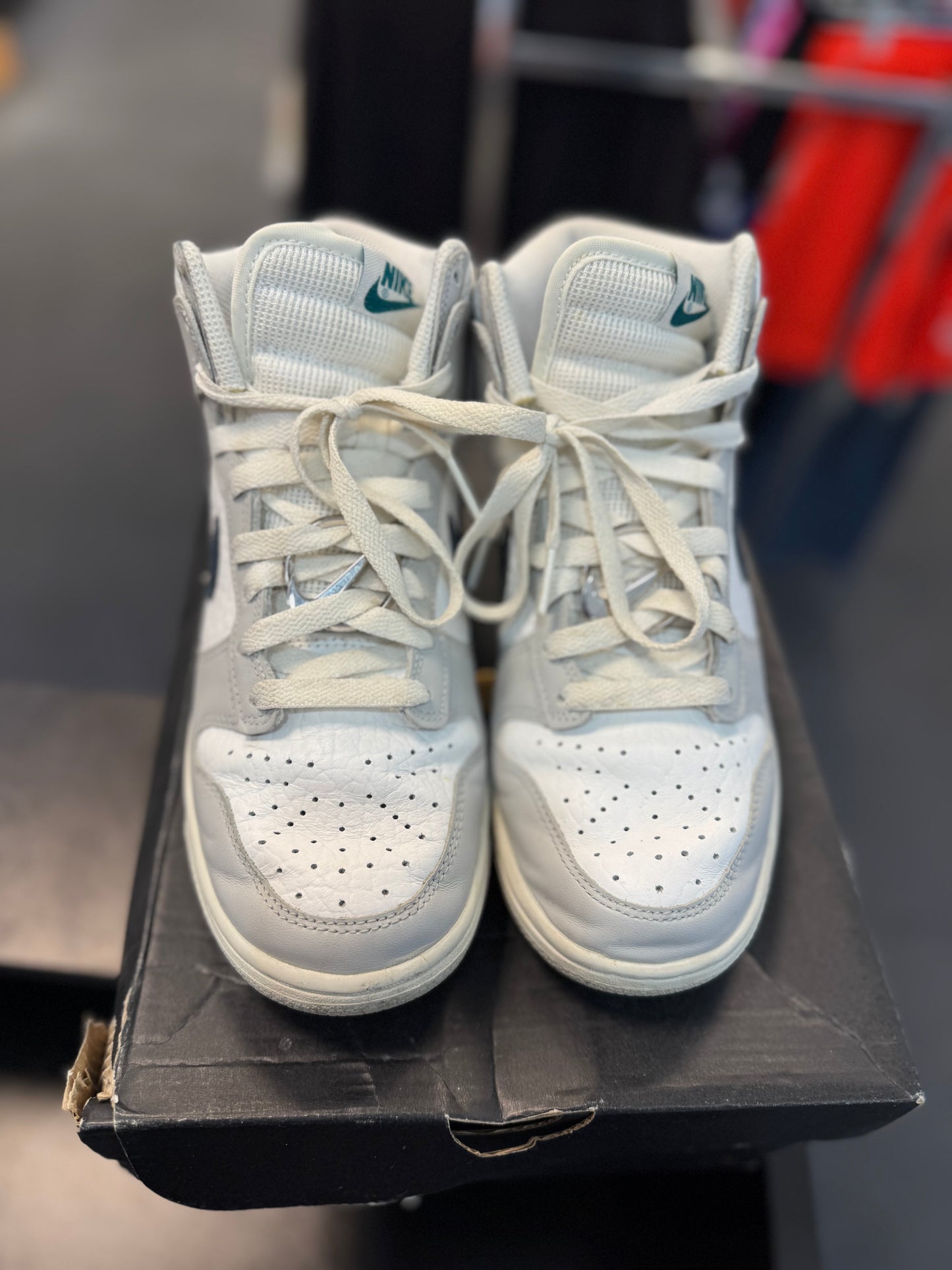 *USED* Nike Dunk High FLS