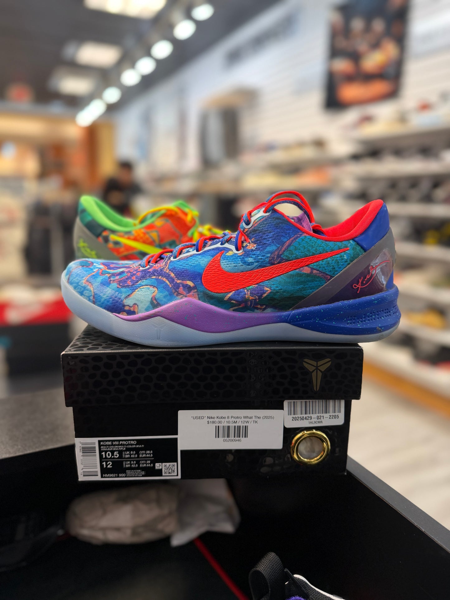 *USED* Nike Kobe 8 Protro What The (2025)