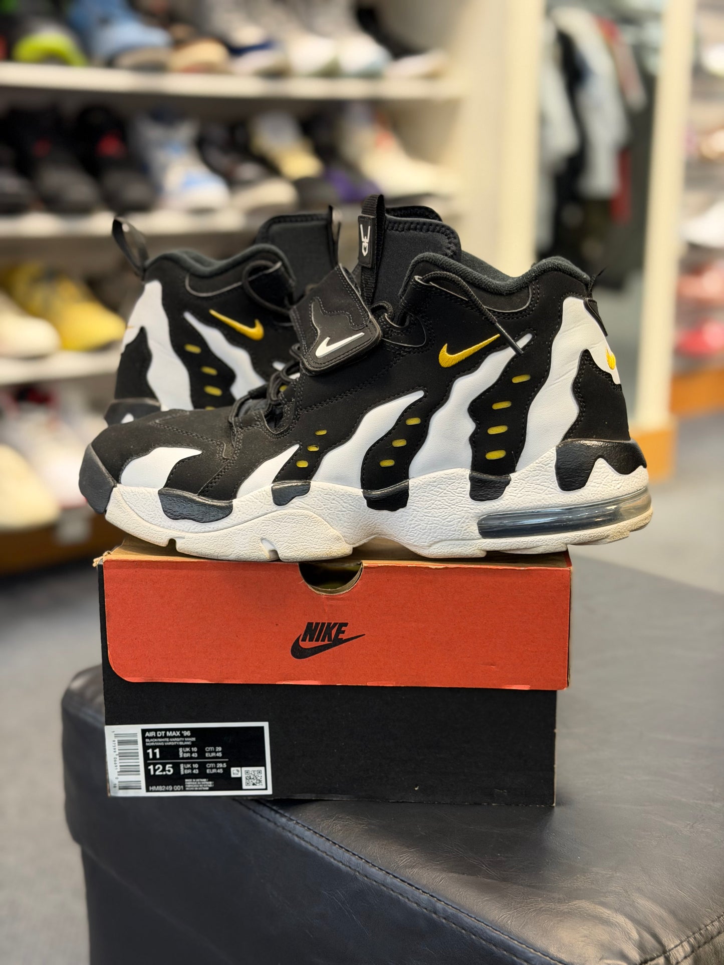 *USED* Nike Air DT Max ‘96 BW (2024)