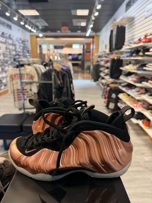 *USED* Nike Air Foamposite One Copper (2024)