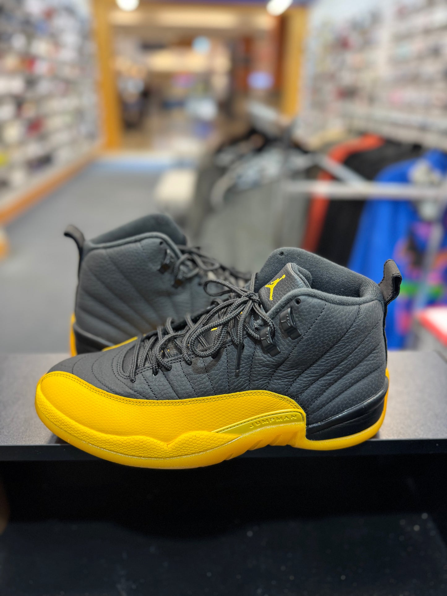 *USED* Jordan 12 Retro Black University Gold