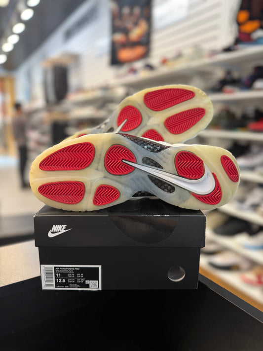 *USED* Nike Air Foamposite Pro Pearl (2025)