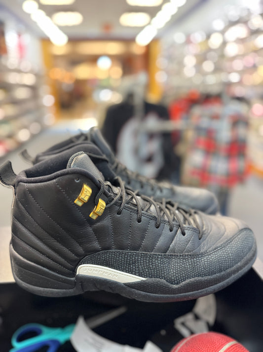 *USED* Jordan 12 Retro The Master