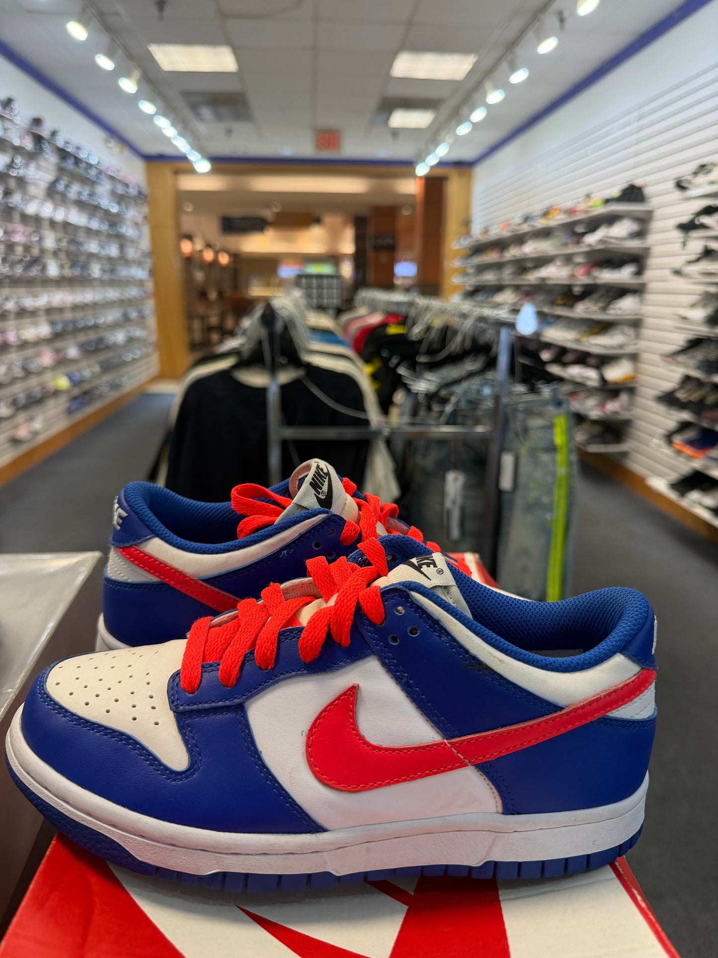 *USED* Dunk Low Blue Fuchsia