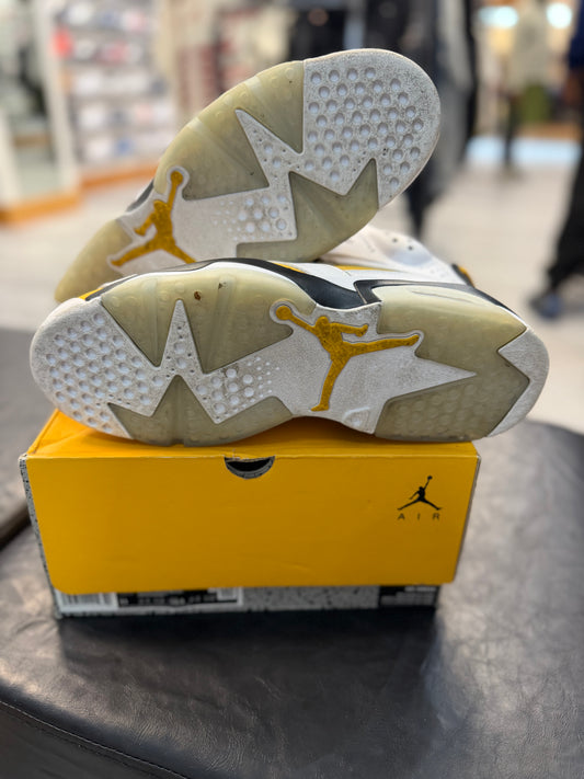 *USED* Jordan 6 Retro Yellow Ochre