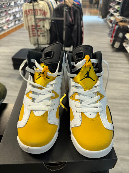 *USED* Jordan 6 Retro Yellow Ochre (GS)