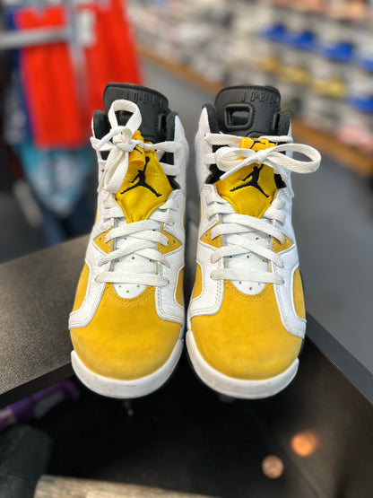 *USED* Jordan 6 Yellow Ochre
