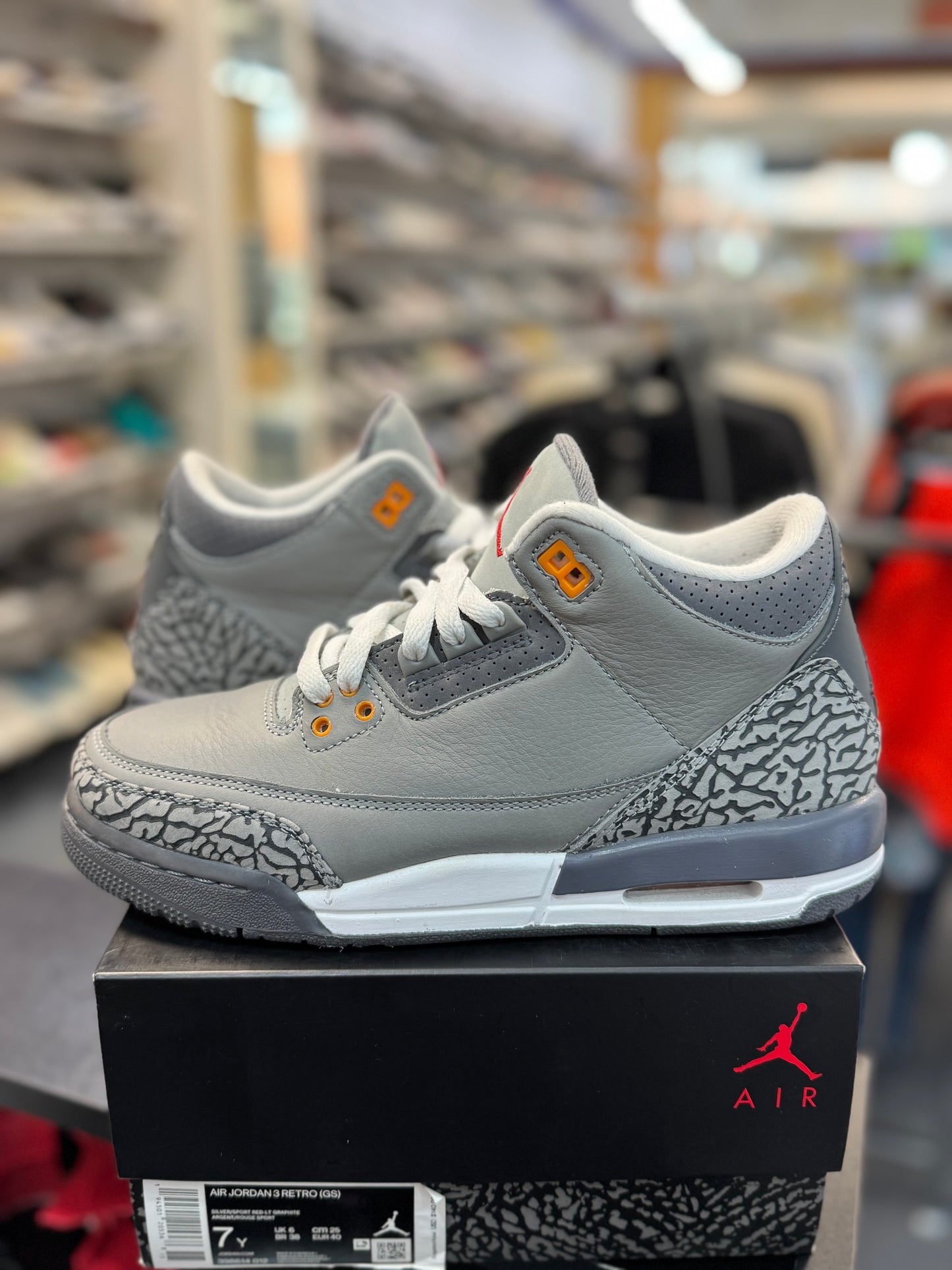 *USED* Jordan 3 Retro Cool Grey (2021) (GS)