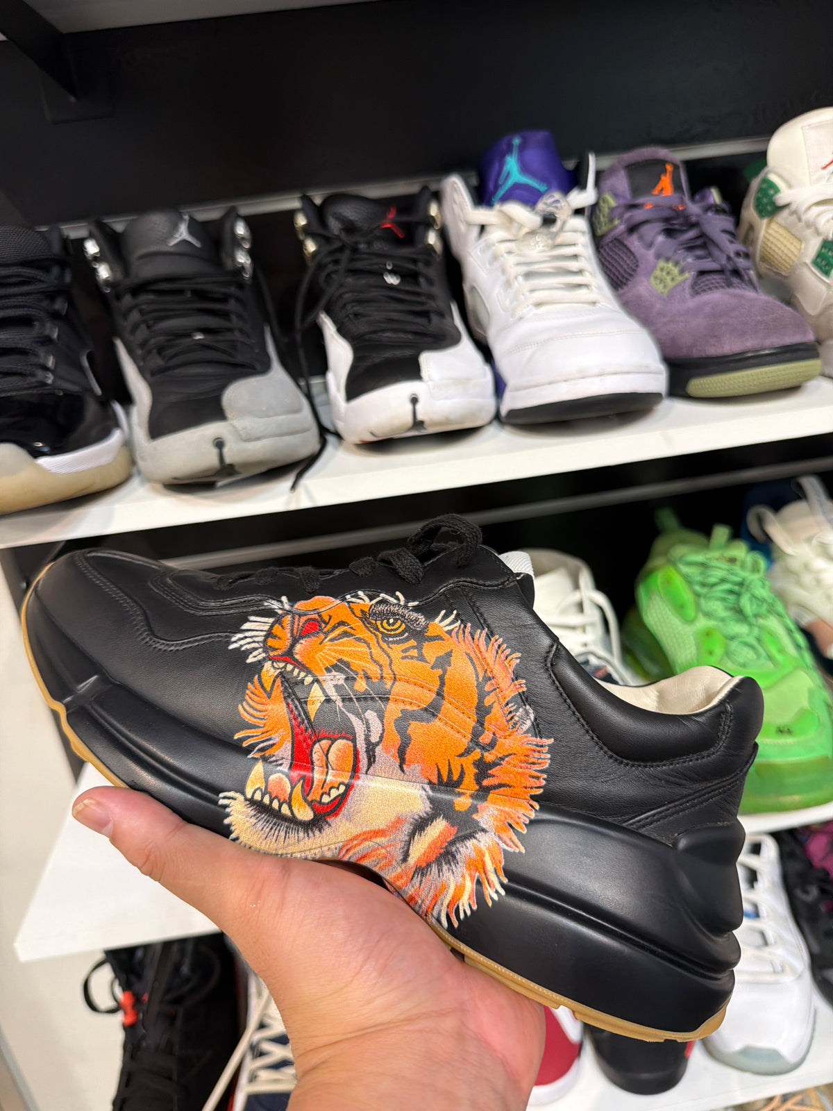 *USED* Gucci Sneaker Tiger