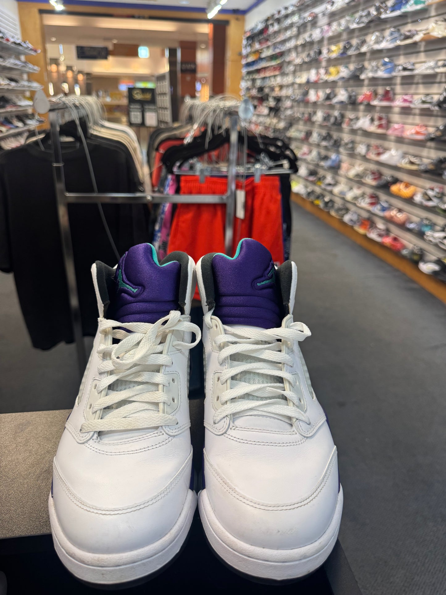 *USED*  Jordan 5 Retro Grape (2013)