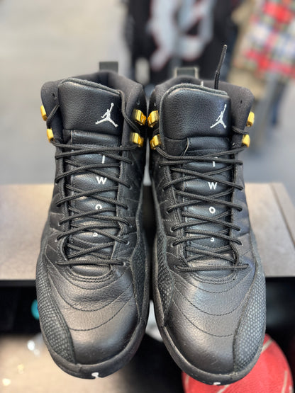 *USED* Jordan 12 Retro The Master
