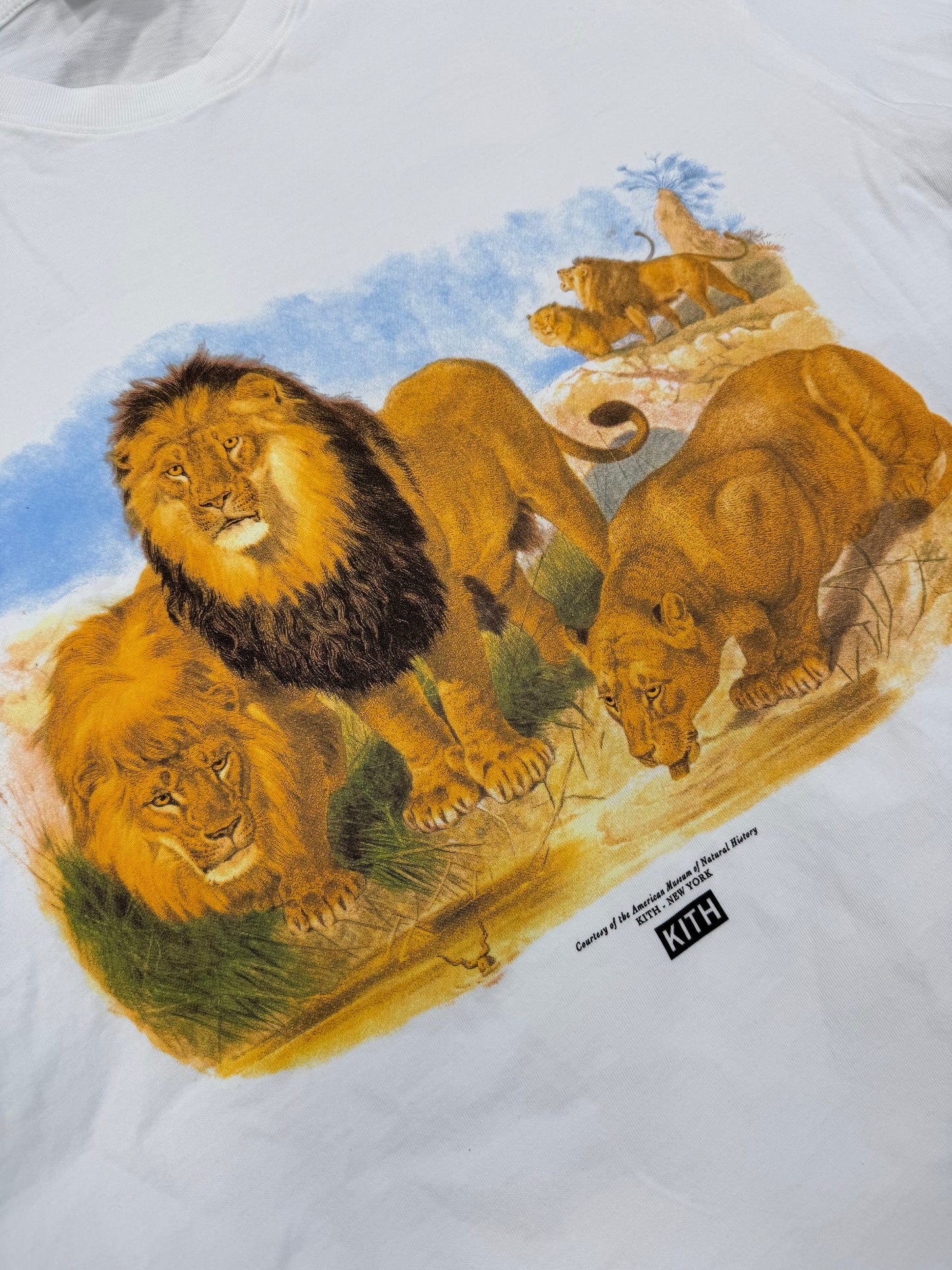 Kith Lion Tee