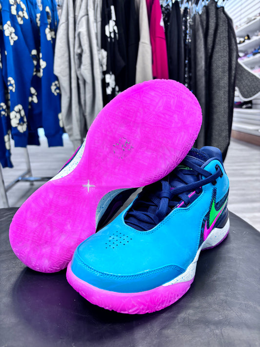 *USED* Lebron Zoom South Beach