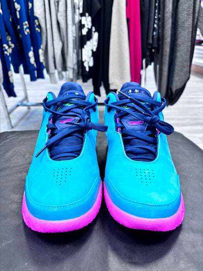 *USED* Lebron Zoom South Beach