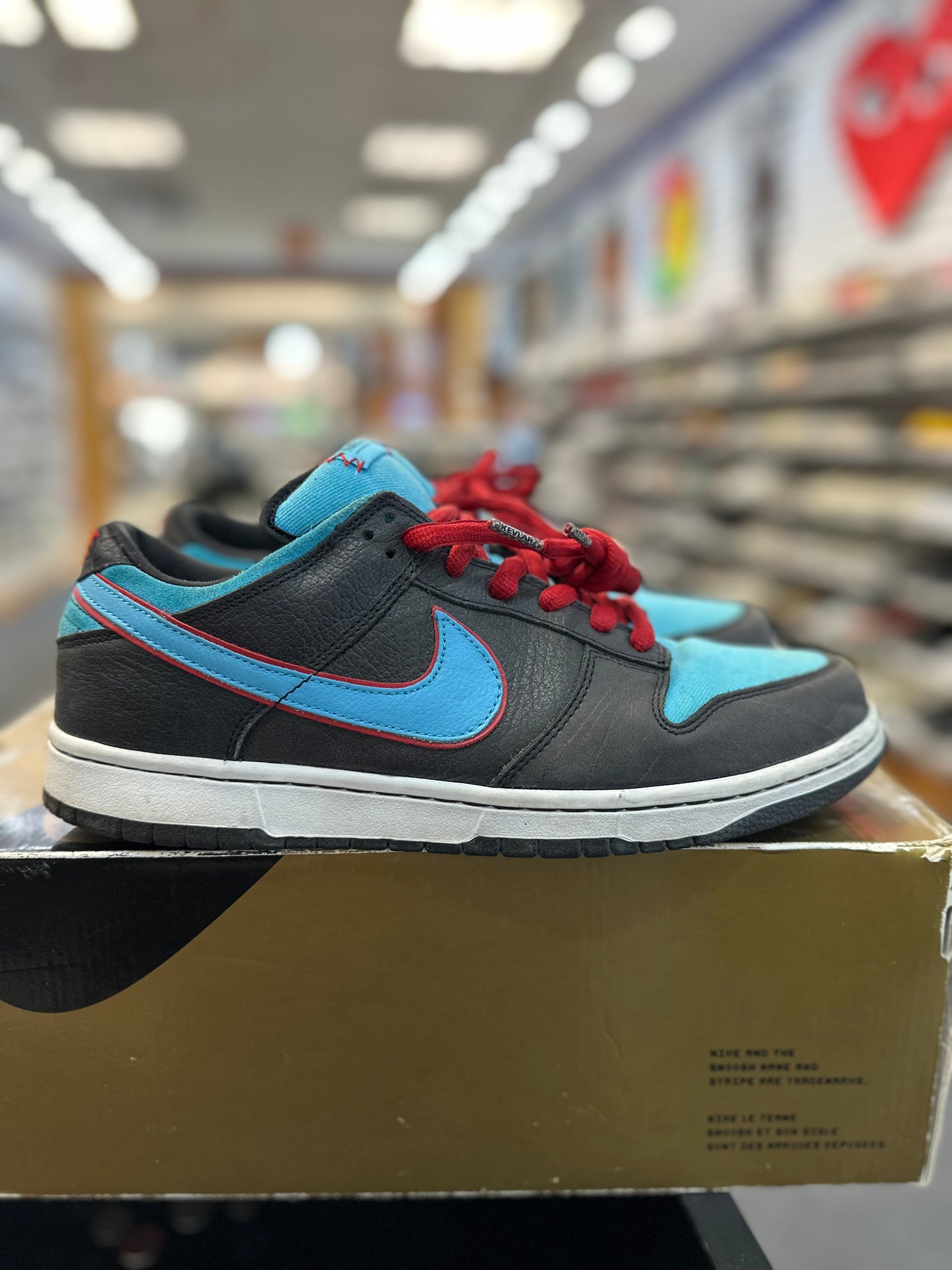 *USED* Nike SB Dunk Low Angel and Death