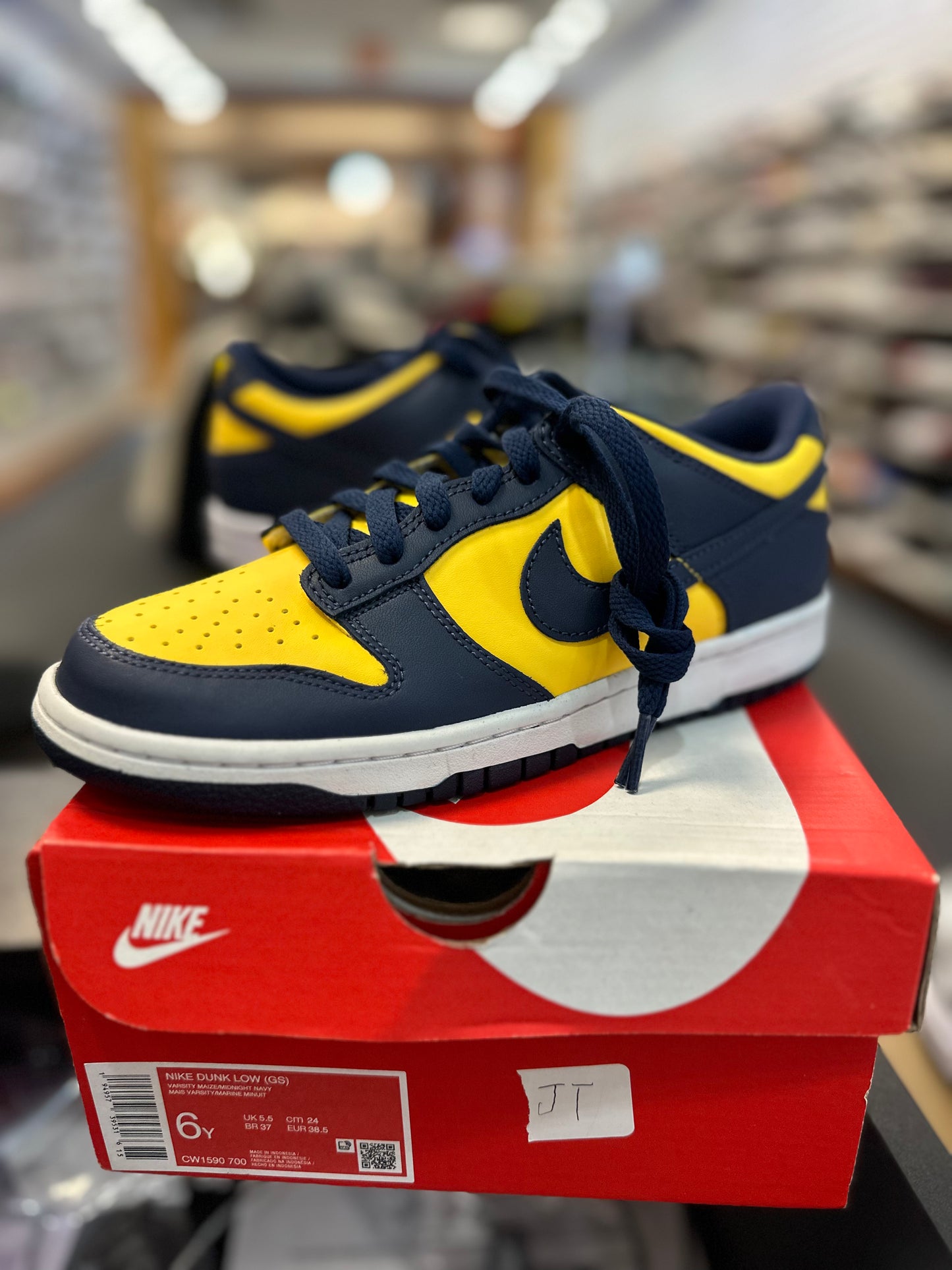 *USED* Nike Dunk Low Michigan (GS)